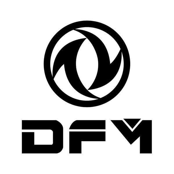 DFM