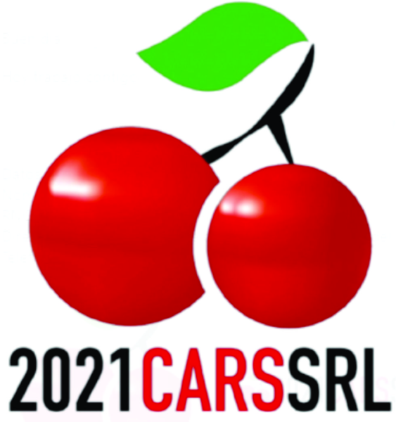 2021 Cars, SRL